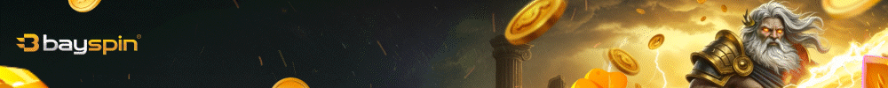 Bayspin Banner