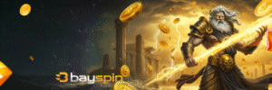 Bayspin Banner